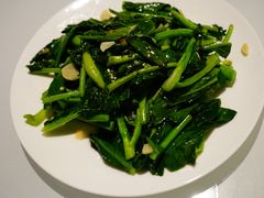 -悉尼歌剧院