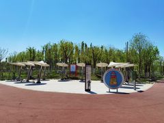 -天津东丽湖风景区