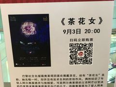 -百丽宫影城(CGS激光苏宁广场店)