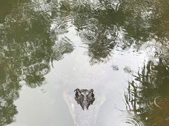 -热带雨林自然公园