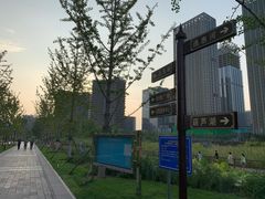 -西海子公园