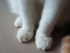 -荔枝楼酒家(员村东璟店)