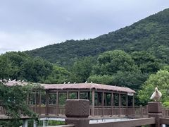 -无锡动物园·太湖欢乐园