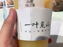 -一叶觅山(半边街店)