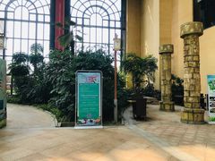 -郑州银基黄帝宫御温泉