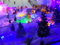 -世界之窗阿尔卑斯冰雪世界