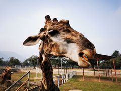 -西安秦岭野生动物园