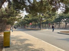-北陵公园
