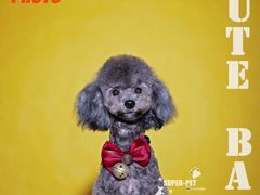 -超宠爱宠物摄影-Super pet