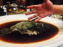 -老街渔味馆(芳华店)