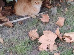 -东华大学(松江校区)