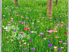 -仙海旅游度假区