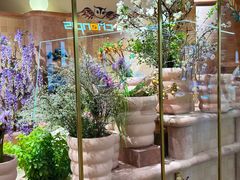 -BEAST野兽派(上海浦东嘉里城店)