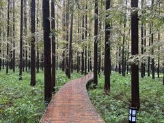 -上海怡沁园度假酒店