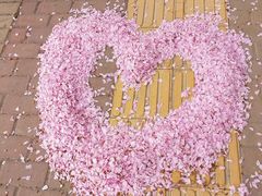 -丹香(城阳大润发店)