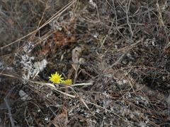 -蟠龙山长城景区