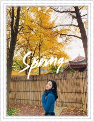 点击看大图 -大麦微针植发全国连锁