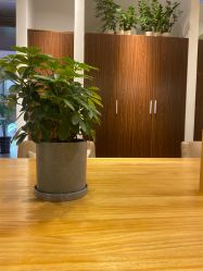 -Air Plus 美发沙龙