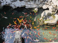 -西林禅寺
