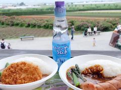 -富田农场