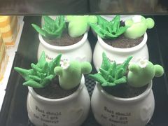 盆栽蛋糕-85度C(厦门中华城新店)