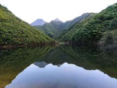 -重庆睡佛山森林公园