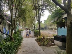 -百万葵园