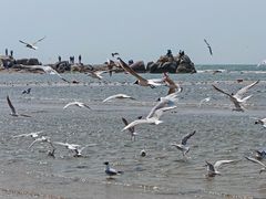 -老虎石海上公园