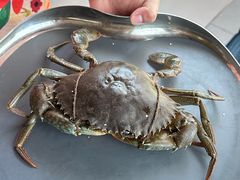 -Ministry of Crab•MOC(交子大道店)