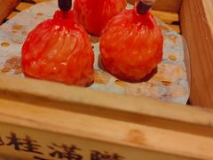 -桂满陇·海市蜃楼·黑金(国金店)