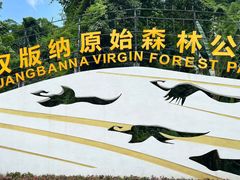 -西双版纳原始森林公园