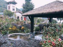 -英德宝晶宫天鹅湖茶语温泉