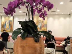 -第六季自助餐厅(甜水园店)