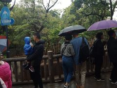-昆明动物园