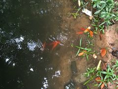 -宝岩生态观光园