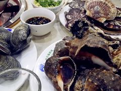 扇贝-春华海鲜城(广场西苑店)