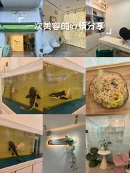 -FUMEIHUI·科技美肤·美体SPA