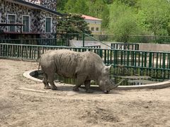 -哈尔滨北方森林动物园
