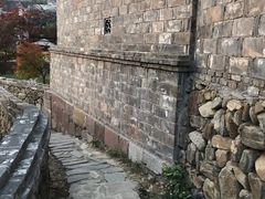 -塔川景区