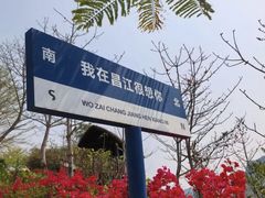 -海南霸王岭国家森林公园