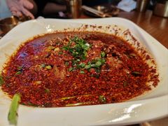 -柴窝堡22号辣子鸡·传承新疆菜