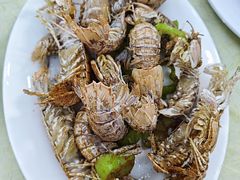 -秋姐美食店(海陵岛保利店)