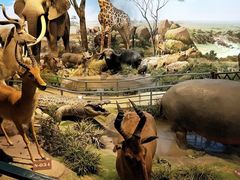 -陕西自然博物馆