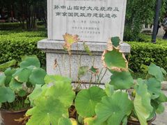 -南京中国近代史遗址博物馆(南京总统府)