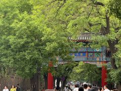 -北京国子监胡同