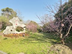 -桃花岛景观公园