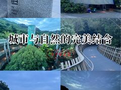 -福道
