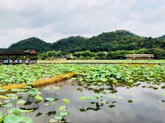 -红山村