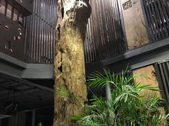 -路小缦·珍馐美馔(市心北路店)