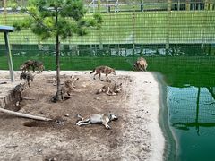 -中华郡文化旅游景区